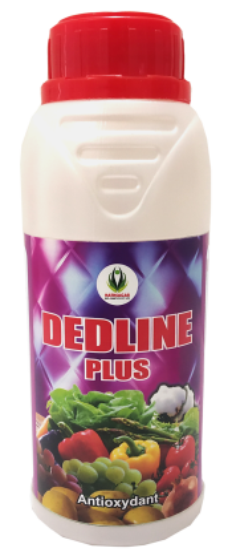DEDLINE PLUS